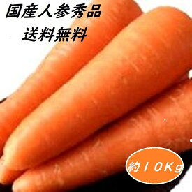 国産 人参 秀品 約10K箱 にんじん厳選　野菜 春掘り人参・秋掘り人参・季節によって 厳選産地 クール便 送料無料