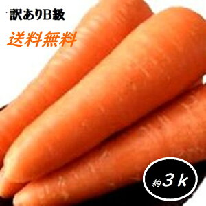 黒 にんじんの人気商品 通販 価格比較 価格 Com