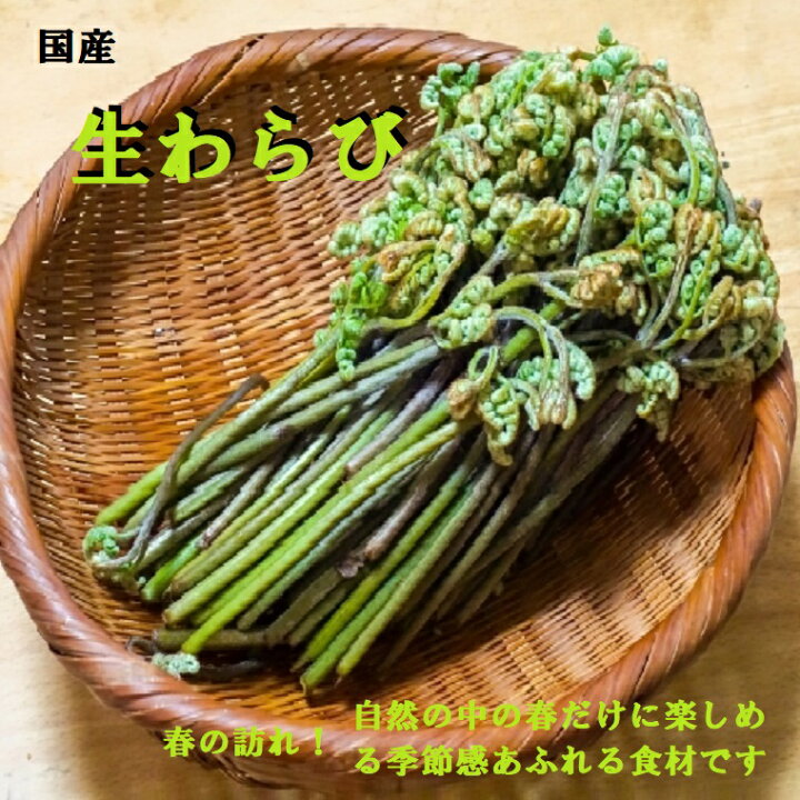 楽天市場】国産わらび約1Kg入り送料無料《蕨・ワラビ・山菜》筑波 