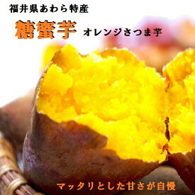楽天市場 安納芋 産地 都道府県 福井 サツマイモ 野菜 きのこ 食品の通販