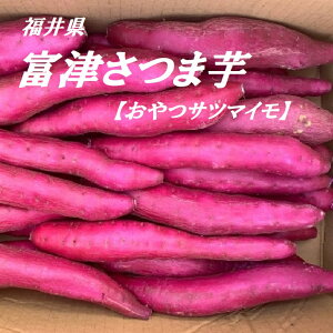 䌧YsTc}CtsyÂ܈tTc}CEׂĐHׂ₷`Iq̂킢ɂIIˑ