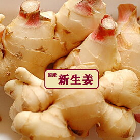 新生姜　★お試し約500g　約1kg　約2kg　約4kg箱　高知県産他国内厳選2kgと4kgは甘酢も付いていま〜す！自家製 甘酢漬け、紅ショウガ、生姜湯、砂糖漬け