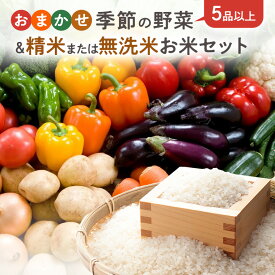 お米と野菜　おまかせ野菜セット5品以上約2Kgと　お米セット　福井県産いちほまれ精米・清水米こしひかり精米・特別栽培米　お米セット【主婦の味方】春・夏・秋・冬　旬の野菜 無洗米 精米 お米　御歳暮　プレゼント　自宅にも