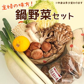 秋・冬野菜セット【しらたきプレゼント】お家でマルシェ！鍋 野菜 福井産(白ねぎ)入り！おまかせ厳選 鍋野菜セット5品以上 約3Kg入り 白菜 ねぎ きのこ 福井 越前 【主婦の味方鍋企画】送料無料　水炊き・すき焼き・キムチ鍋・鍋料理