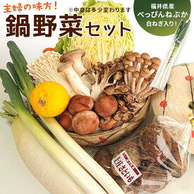 鍋 野菜 福井産べっぴんねぶか(白ねぎ)入り！おまかせ厳選 鍋野菜セット5品以上 約3Kg入り 白菜 ねぎ きのこ 福井 越前 【主婦の味方鍋企画】送料無料