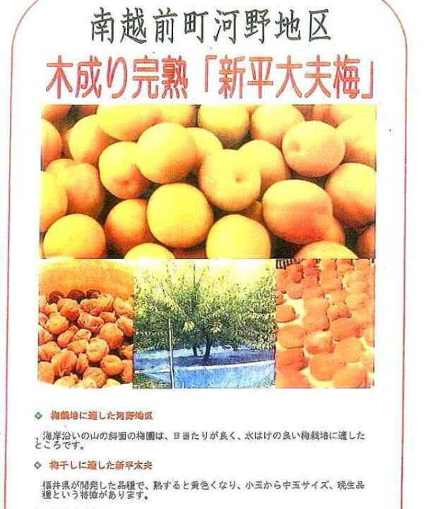 楽天市場】送料別 梅干し作りにはこの梅！ 木成り完熟梅【新平太夫梅 