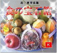 法事のお供えにも！ フルーツ ギフト　果物 ギフト 食の宝石箱【K】アールスメロン 入り フルーツ バスケ…
