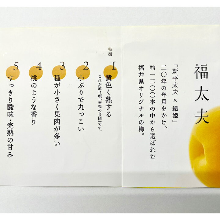 楽天市場】《福井県 完熟梅》【福太夫梅】ふくだゆううめ 秀品☆約 