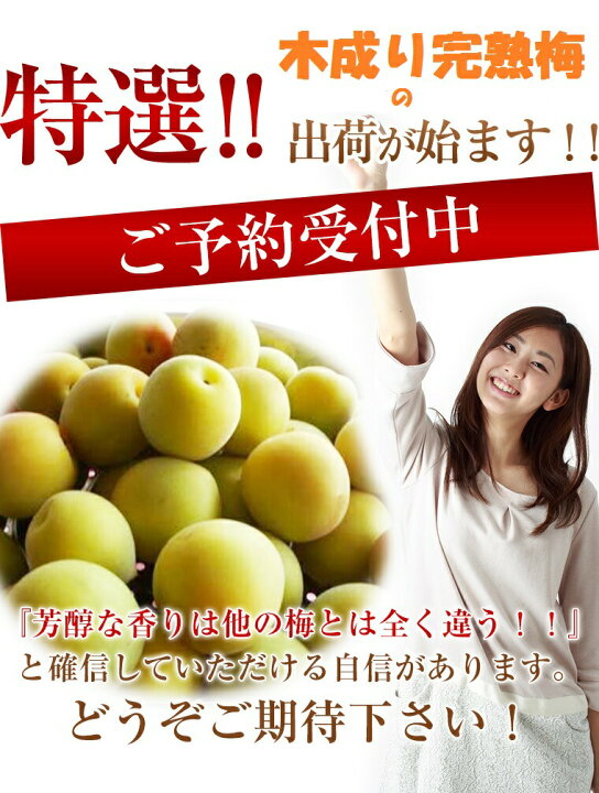 楽天市場】送料無料《福井県》木成り完熟梅 お試し 約1kg 3kg 5kg 10kg 