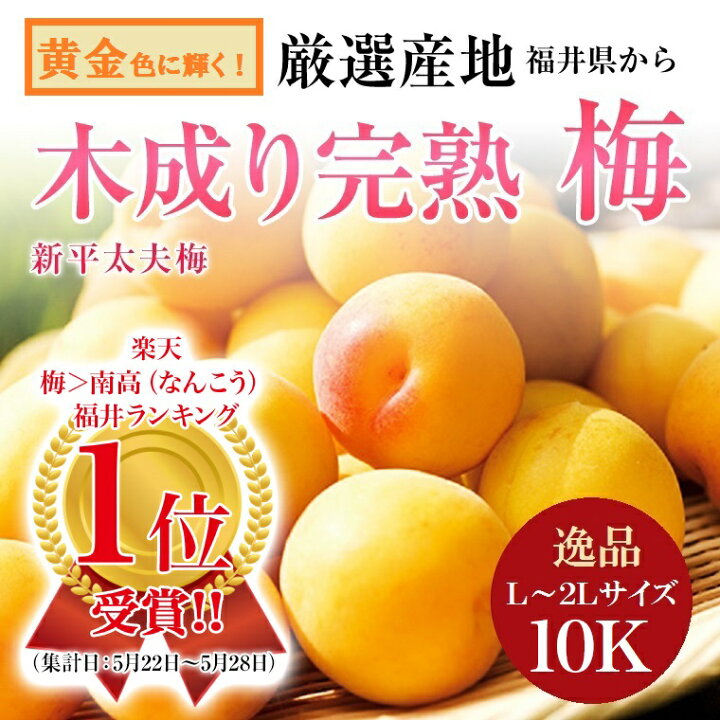 楽天市場】送料無料《福井県》木成り完熟梅 お試し 約1kg 3kg 5kg 10kg 