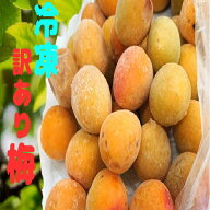 梅仕事期間限定ポイントアップ《冷凍完熟梅》食品ロス企画　訳ありB級完熟梅約2K【無選果サイズ指定なし…