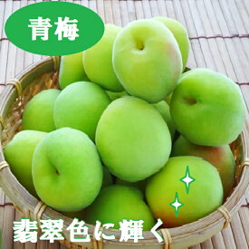 楽天市場 梅 産地 都道府県 徳島 フルーツ 果物 食品 の通販