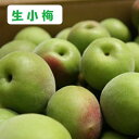 【小梅】お試し秀品　約1kg～4kg【2L〜4Lサイズ】和歌山紀州・長野他厳選産地【1kgは送料別】青梅小梅　完熟小梅　送料無料・ク－ル便