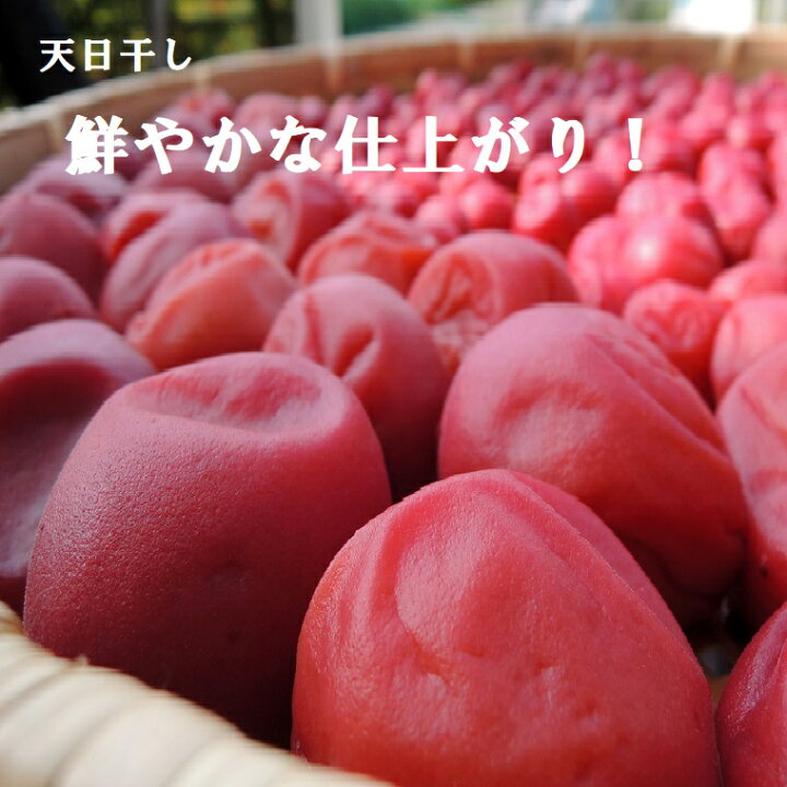 楽天市場】《福井県 完熟梅》【福太夫梅】ふくだゆううめ 秀品☆約 