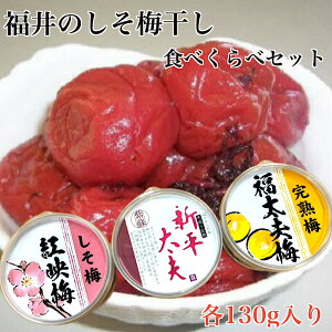 Y@Hהה~3Zbg@䌧Y 17-20~@Vv@gf@v~gp@FY @yY@Εɂ@̂Ȃ̔~ˑ@Mtg ɂ@Y 