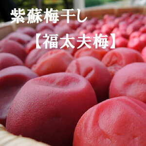 VIyh~z㊮n~yv~zӂ䂤ߎgp@130gpbNE300gpbNE3KgMh~@FAۑ͈؎gpĂ܂B̂Ȃ Mtg 