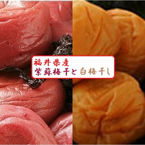 yYzؐ芮n~gpy~zyЂ300g{300gz2ޓˑ@@䌧@Y  500g VR _ ~ ~ ~ڂ ߂ڂ Mtg Y n