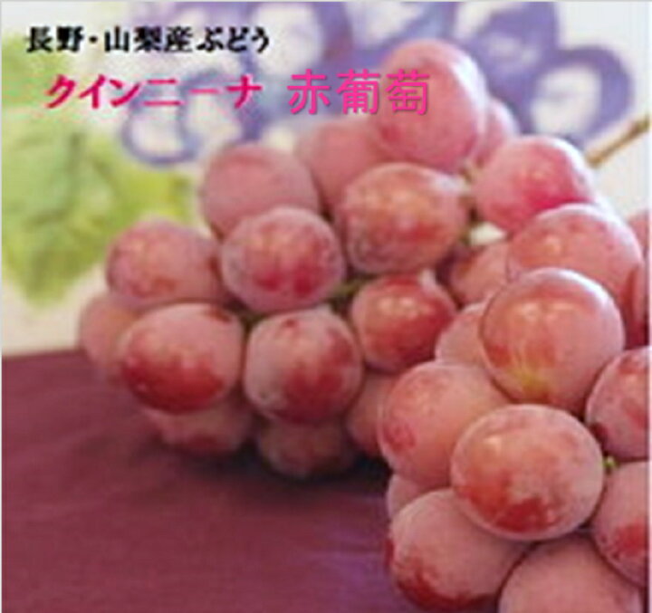 楽天市場 国産大粒赤色ぶどう クインニ ナ 1パック約１５０ｇ ２００ｇ入り ３ｐ 山梨 長野県産 葡萄希少で話題沸騰の赤いぶどうです 赤ブドウ 赤色葡萄 赤葡萄 福井くいしんぼ楽天市場店