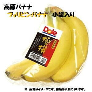 X||c̏H@̗͍ENɁIoii@tBsoii@ܓ3܁`10܁@ɐoii@Ïnoii@Ïn@XEB|eBIoiiXHɁ@ƒp@p[