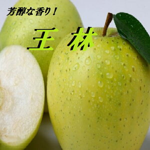 FȍƊÂ݁Ix@XY񂲁yсz10Kˑ