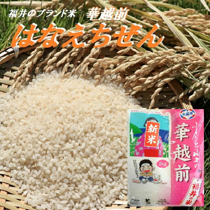 楽天市場】令和7年度産 精米【はなえちぜん】 2KG袋 5KG袋 10KG袋 