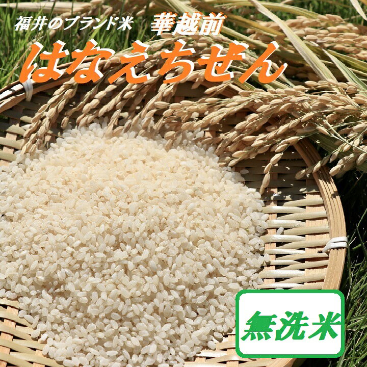 楽天市場】令和7年度産 福井の新米【はなえちぜん】【無洗米】2KG袋 