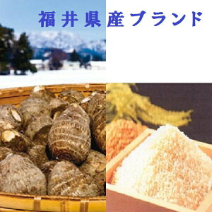 ~@񂹃Mtg@zO ӂ H̕Δ yH|2z uhʍ͔|āyāz 2kg uhzy ㏯z1kg V  RVqJ ʍ͔| Ђ 