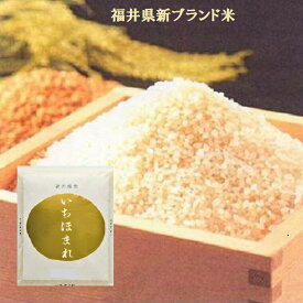 定期購入が可能です。福井のお米特別栽培米【いちほまれ】2K袋・5K袋・10K袋又は(5K袋×2)白米・新米は秋ごろから・ブランド米・福井県のブランド米・食味鑑定士認定・福井県米⇒送料無料　【予約】今年は10月からのお届けです。