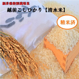 福井の美味しいお米【特別栽培米】越前こしひかり【清水米】精米5K袋送料無料