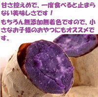 楽天市場 産地こだわり ミックス芋チップス 紫芋ちっぷ含む 高知 土佐よさこい 100g 12袋入り箱こだわり サクサクのおやつをお届けします 送料無料 スナック菓子 チップス 和菓子おやつ 母の日 父の日 敬老の日 福井くいしんぼ楽天市場店