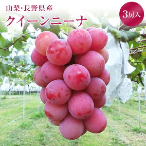 Y嗱ԂǂyNC[izϔ 1[@2[@3[@RE쌧YyN[ցz󏭂Řb蕦̐ԂԂǂłBԃuhE@ԐF@ԕ