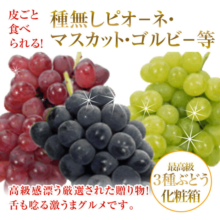 楽天市場】フルーツセット デラックス最高級 食の宝石箱 【DX 