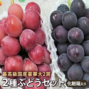 @Y嗱2FuhEԂƍ@v4[艻ϔy햳EsI|lEp|vFz2[yNC|iENC[WԐFz2[jEjE
