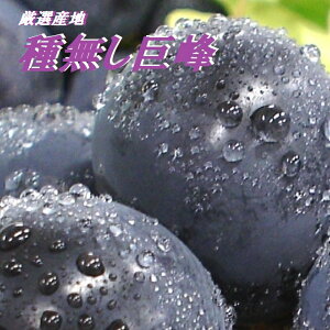 ypzY嗱Ԃǂ@햳@1 [@2[E~EMtg@@˂ȂԂǂ