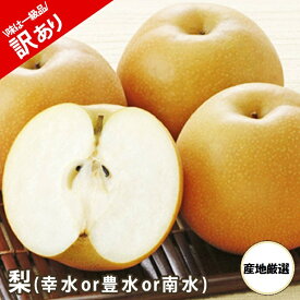 訳ありフル－ツ　食品ロス企画　和梨 ご家庭用 国産B級和梨【幸水梨or豊水梨or南水梨等】 約 2kg 3kg 5kg 10kg 箱ご家庭用B級品・ご家庭用※贈答用には適しません※8月中旬からのお届けです。全国のおいし〜い梨をお届けします《送料無料》