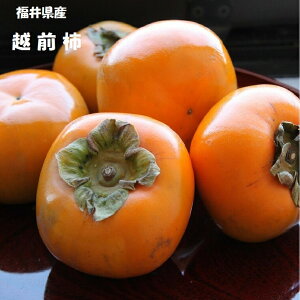 ギフト用【越前柿】厳選大玉6玉化粧箱・厳選大玉8〜9玉 化粧箱・ 約2Kg箱 ・約3.5kg箱・約7kg箱福井県産 種無し柿 平核無柿⇒送料無料