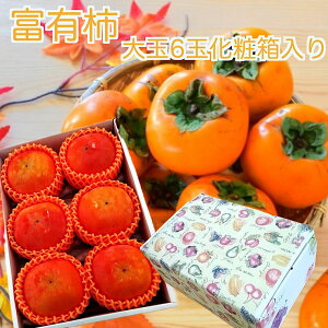 Ĥ߃t|cMtg@䑡yxL`zIʏG6ʉϔ@򕌁EtKL@Ε@Mtg