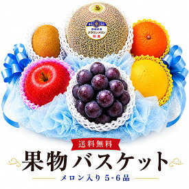 早期予約ポイント5倍！【敬老の日ギフト】フルーツ ギフト 果物 詰め合わせ【 食の宝石箱 果物バスケット　メロン入り5〜6品】お中元 お盆 御祝 お供え 果物 旬 フルーツ詰め合わせ 法事 籠盛り バスケット お見舞い お祝 お返し 誕生日 お礼 法要　お彼岸