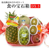 果物 ギフトフルーツ ギフト 食の宝石箱 【DXー3】バスケット アールスメロン 入り母の日 父の日 お供え…