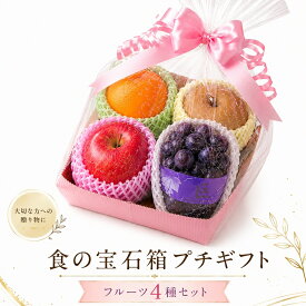 夏ギフト ラッピングが可愛い！！センスが光る贈物！ お盆御供 【プチギフト 4種類のフル－ツセット 】 食の宝石箱 母の日　父の日　御中元 敬老の日 可愛い お供え 果物 ギフト 詰め合わせ バースデー お誕生日 ご入学 内祝い お見舞い プレゼント　子供会　 送料無料