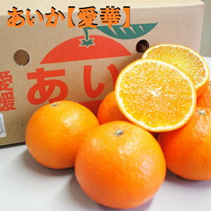 100P|XI@݂ Q y؁zGi 3K NEVt܁@Ε g܂ǂ Ɠî݂ Q 蕨  j k ݂ G k Ε N g}h