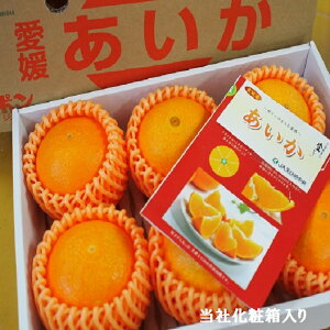 ~̑蕨I݂ Q y؁zGi6 ϔE8ʉϔ Ε g܂ǂ Ɠî݂ Ε Mtg Q @Ε 蕨 j k ݂ G k N 