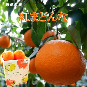 yg܂ǂȁzGʖ1D5Kg莝ϔ QY@݂@JAЂߒ ΕԌ菤i@ʕMtg 蕨 Mtg 񂰉ϔ g}hi k 