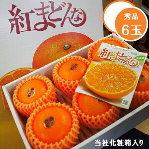 Ƃ낯I݂yg܂ǂȁzGi6 ϔE8ʉϔ@QY@Ε 蕨 Mtg ϔ g}hi k t[cZbg ʕMtg 