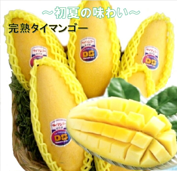 楽天市場 完熟タイマンゴー ７玉入り箱送料無料 ク ル便 福井くいしんぼ楽天市場店