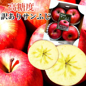 B󂠂 TtW 1.5kg@I[v@쌧Y@x14ȏIÂ񂲁@ƒp@Tӂ@Tӂˑ