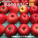 りんご福袋　食品ロス企画《訳ありリンゴ》B級赤色りんご　★約1.5kg　3kg　5kg箱　長野・青森産りんご【富士】【サンフジ】【つがる】【陽光】【ジョナゴ−ル】等等⇒送料無料商品あり　訳ありフル－ツ　訳あり果物　B級