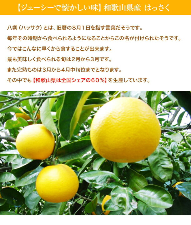 楽天市場】【八朔】はっさく お試し 約2K 和歌山県産 甘酸っぱい  