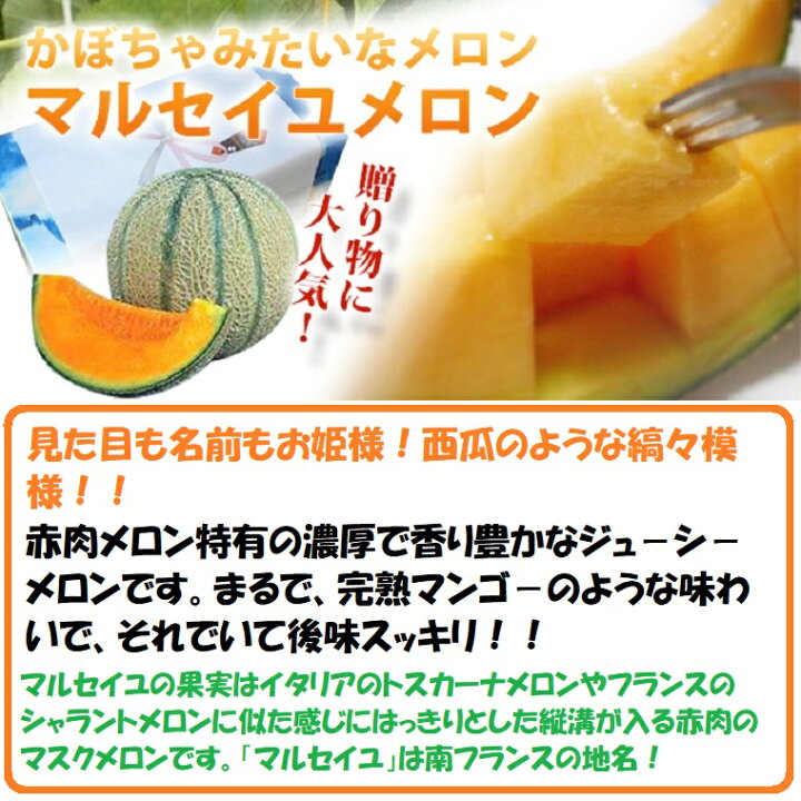 楽天市場 マルセイユメロン 花咲紅姫メロン他 赤肉メロン秀品２ｌサイズ以上 １玉化粧箱ラッピング付き 国産厳選地 福井県他赤肉メロン ギフト パ ティ ゴルフ 景品 父の日 プレゼント６月中旬頃から予定 福井くいしんぼ楽天市場店