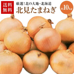 kCʔK܂˂ykzyk݂炢z@10K@y炱uIz100P|X@kC kF1 ܂˂ Gi L`LLTCY